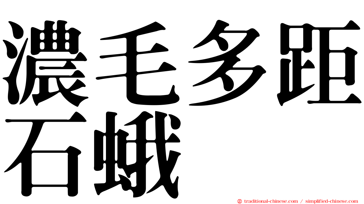濃毛多距石蛾