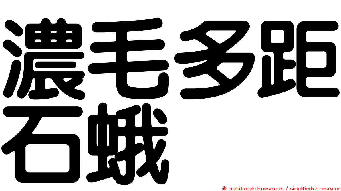 濃毛多距石蛾