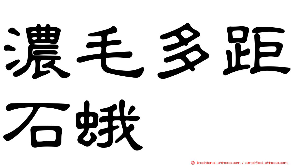 濃毛多距石蛾