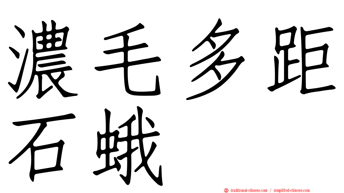 濃毛多距石蛾