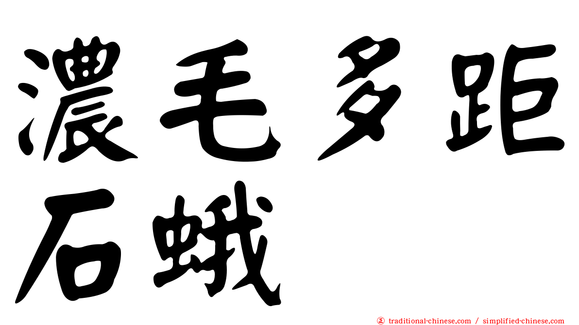 濃毛多距石蛾