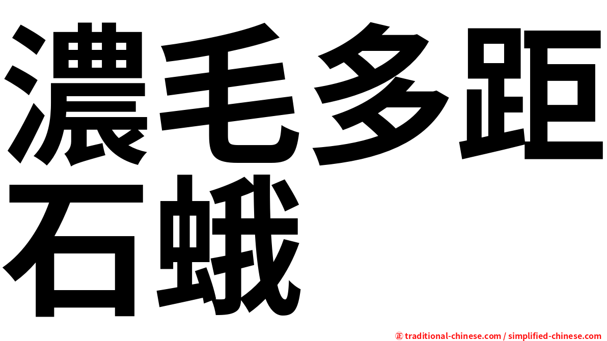 濃毛多距石蛾