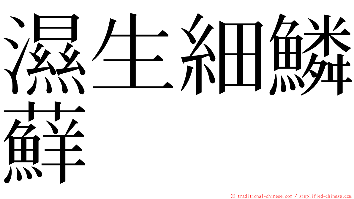 濕生細鱗蘚 ming font