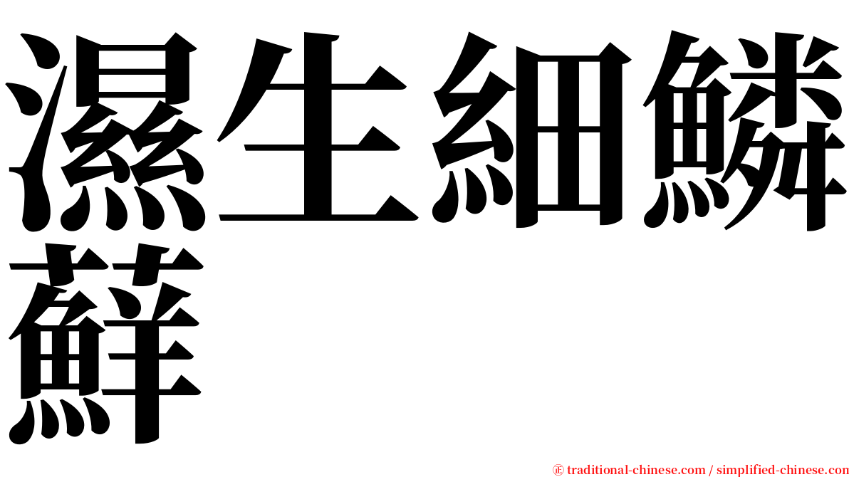 濕生細鱗蘚 serif font