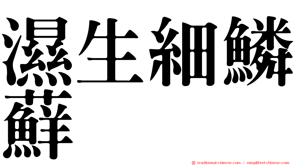 濕生細鱗蘚