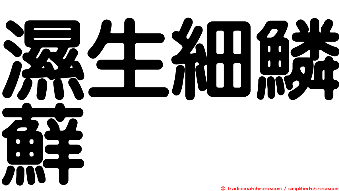 濕生細鱗蘚