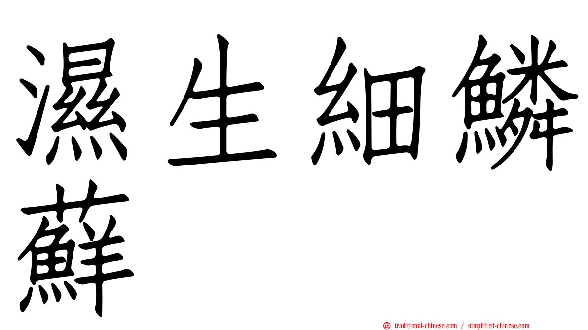 濕生細鱗蘚