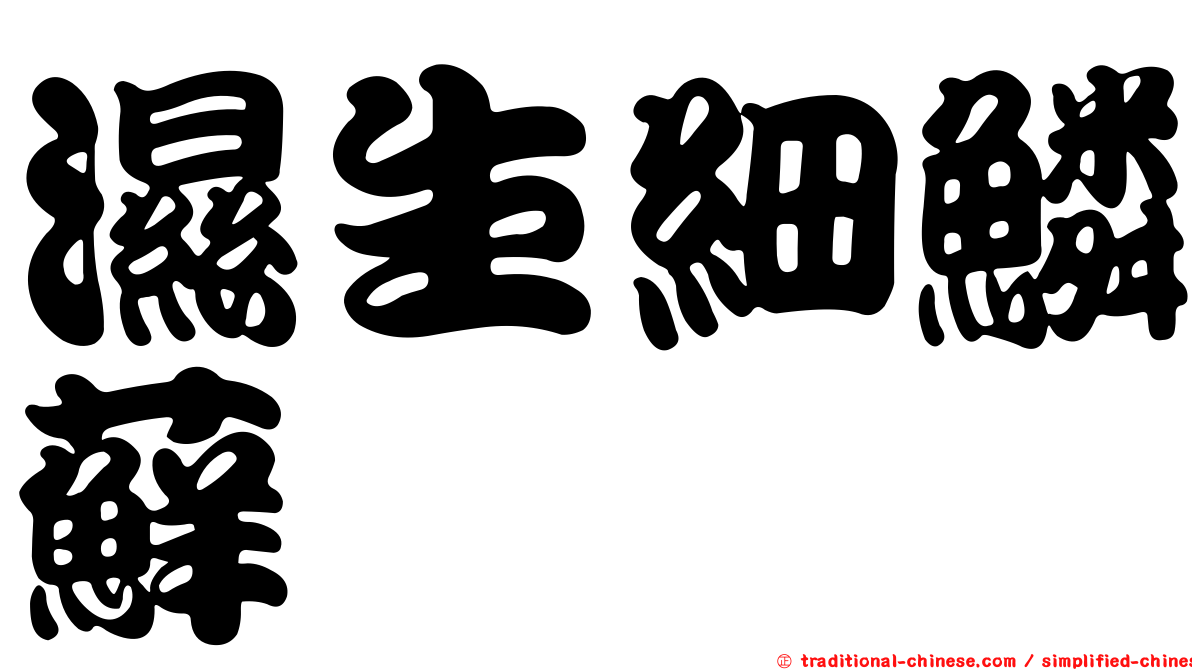 濕生細鱗蘚
