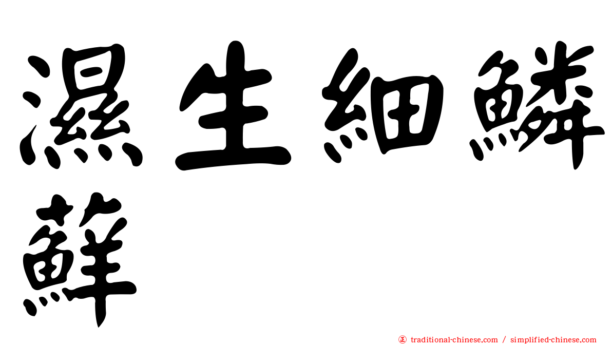 濕生細鱗蘚