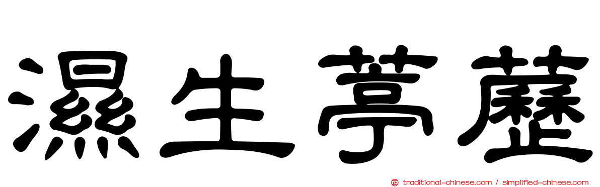 濕生葶藶