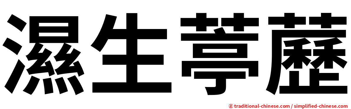 濕生葶藶