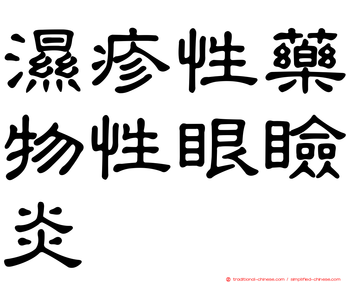濕疹性藥物性眼瞼炎