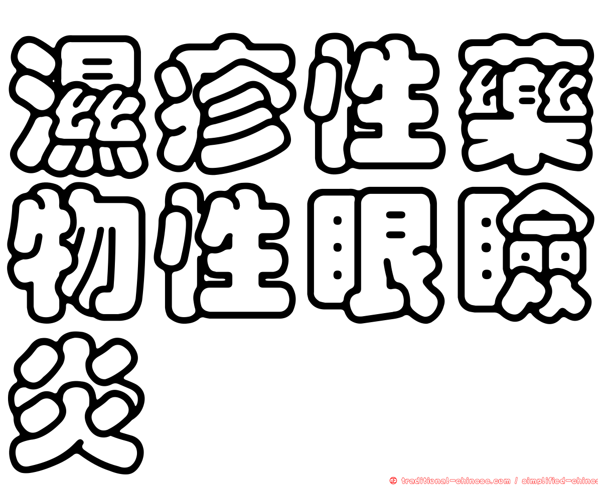 濕疹性藥物性眼瞼炎