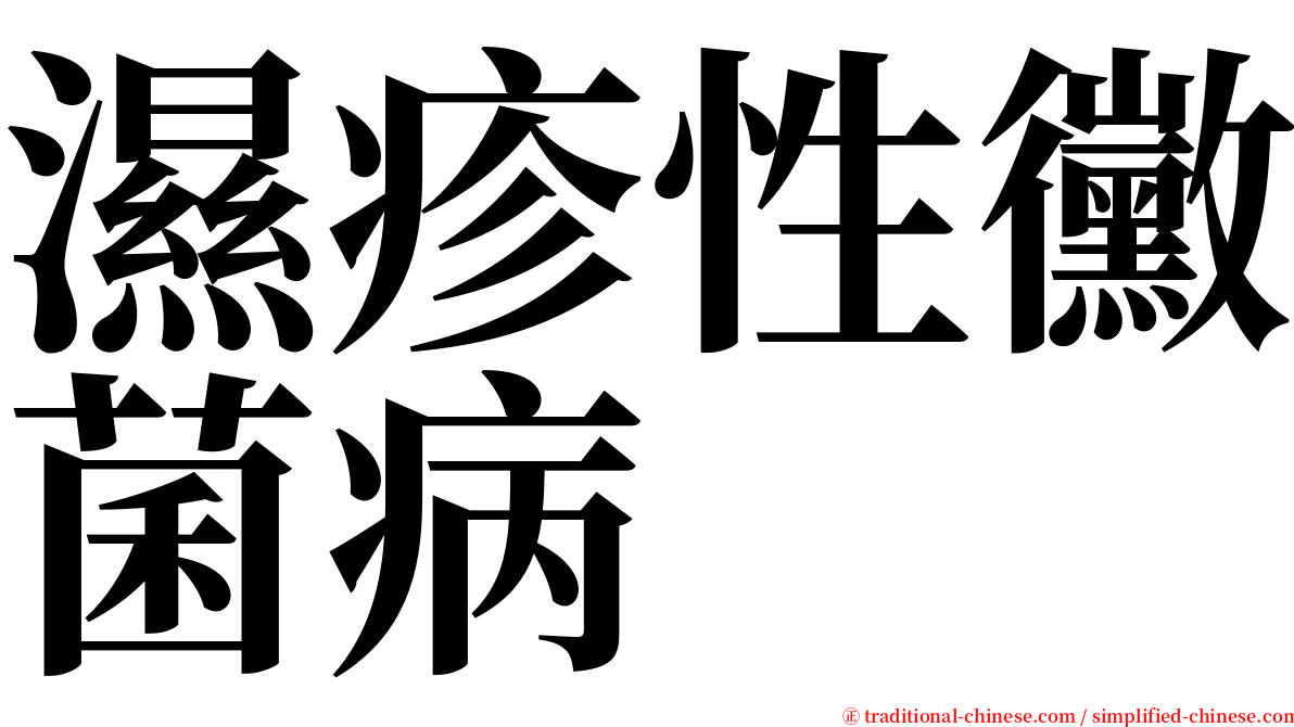 濕疹性黴菌病 serif font