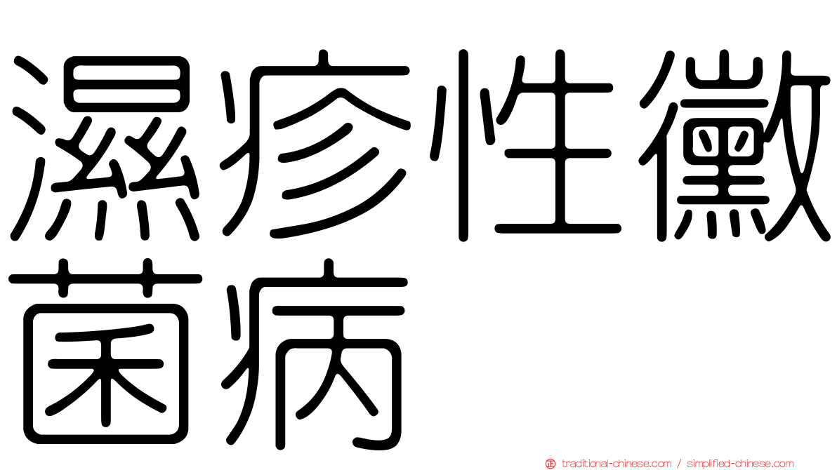 濕疹性黴菌病