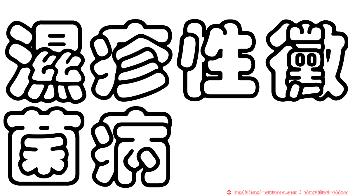 濕疹性黴菌病