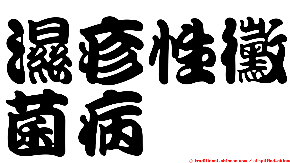 濕疹性黴菌病
