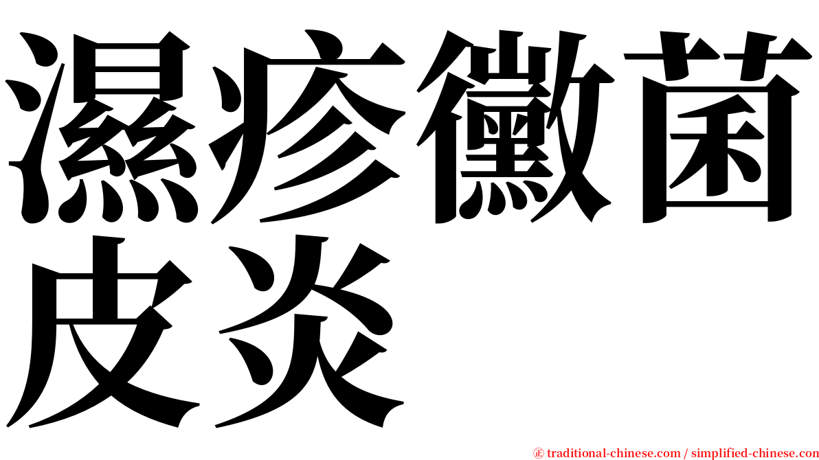 濕疹黴菌皮炎 serif font