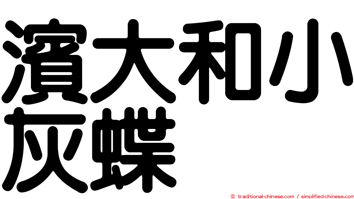 濱大和小灰蝶