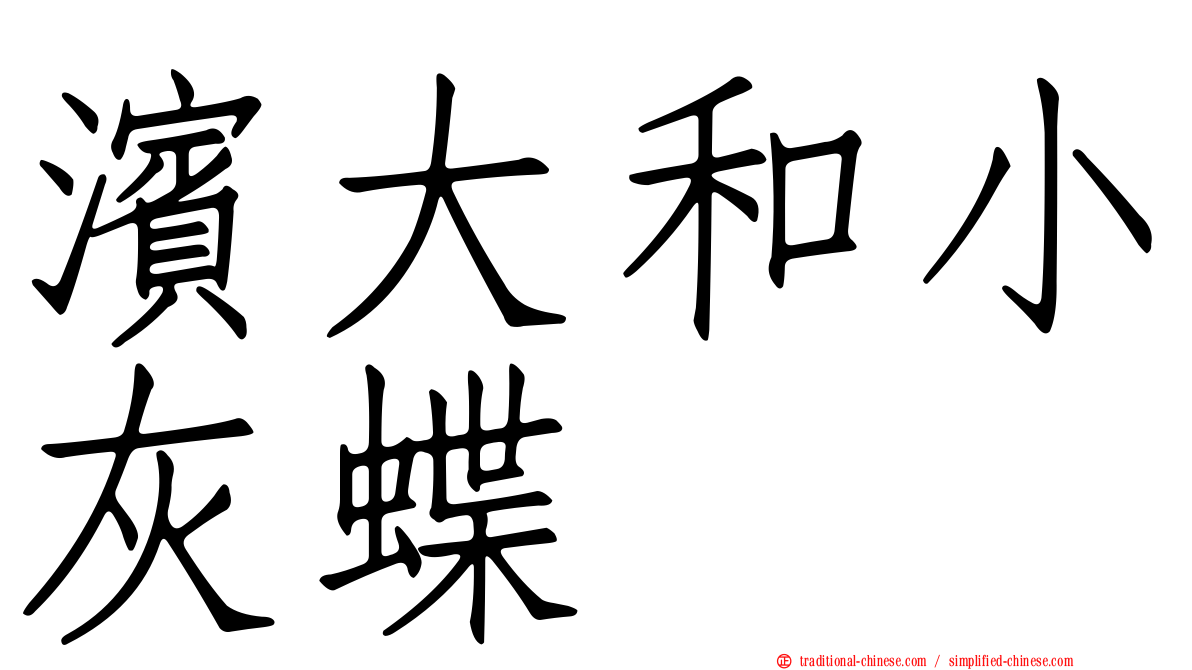 濱大和小灰蝶