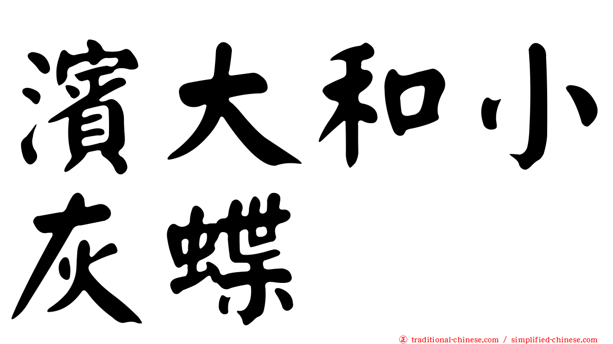 濱大和小灰蝶