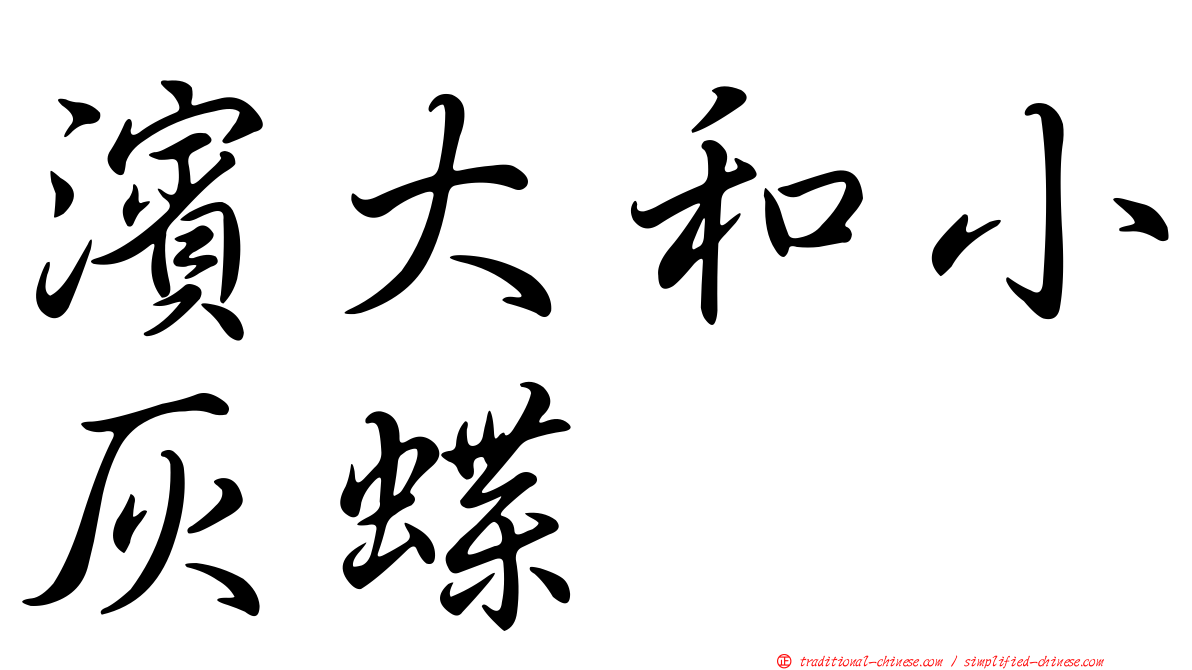 濱大和小灰蝶
