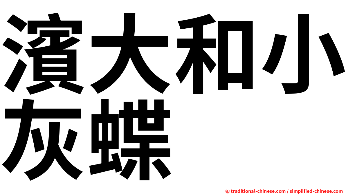 濱大和小灰蝶