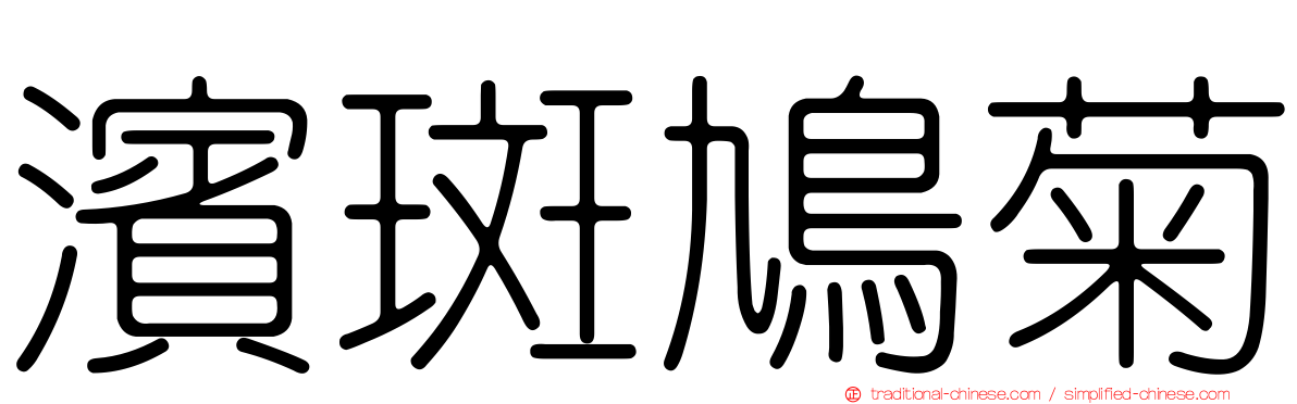 濱斑鳩菊