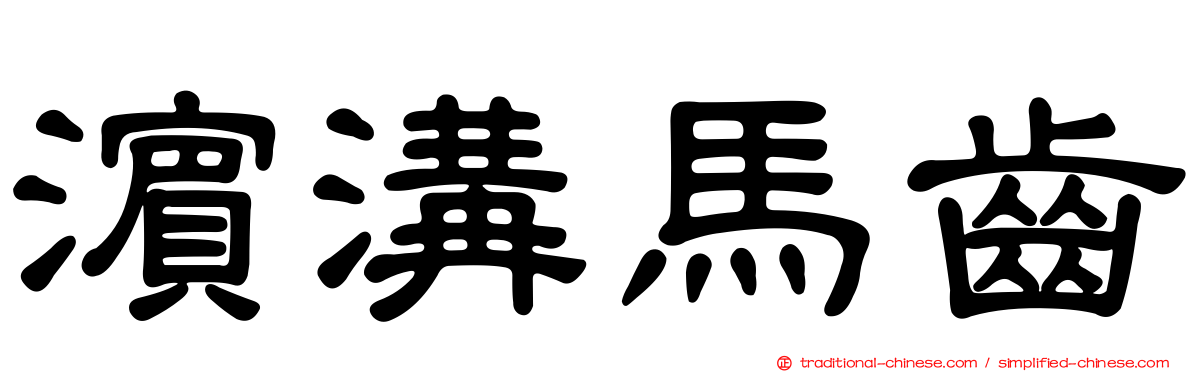 濱溝馬齒