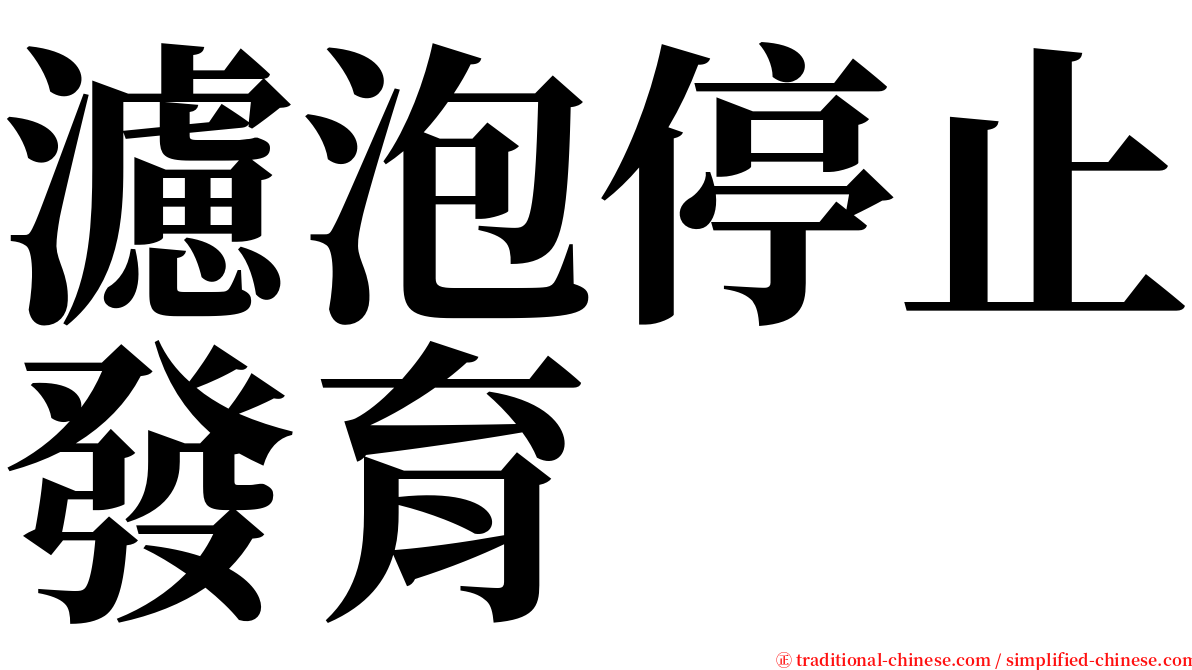 濾泡停止發育 serif font