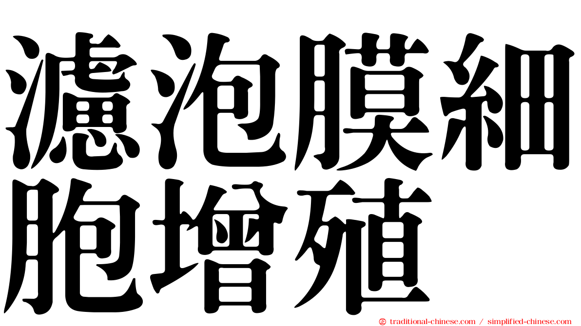 濾泡膜細胞增殖
