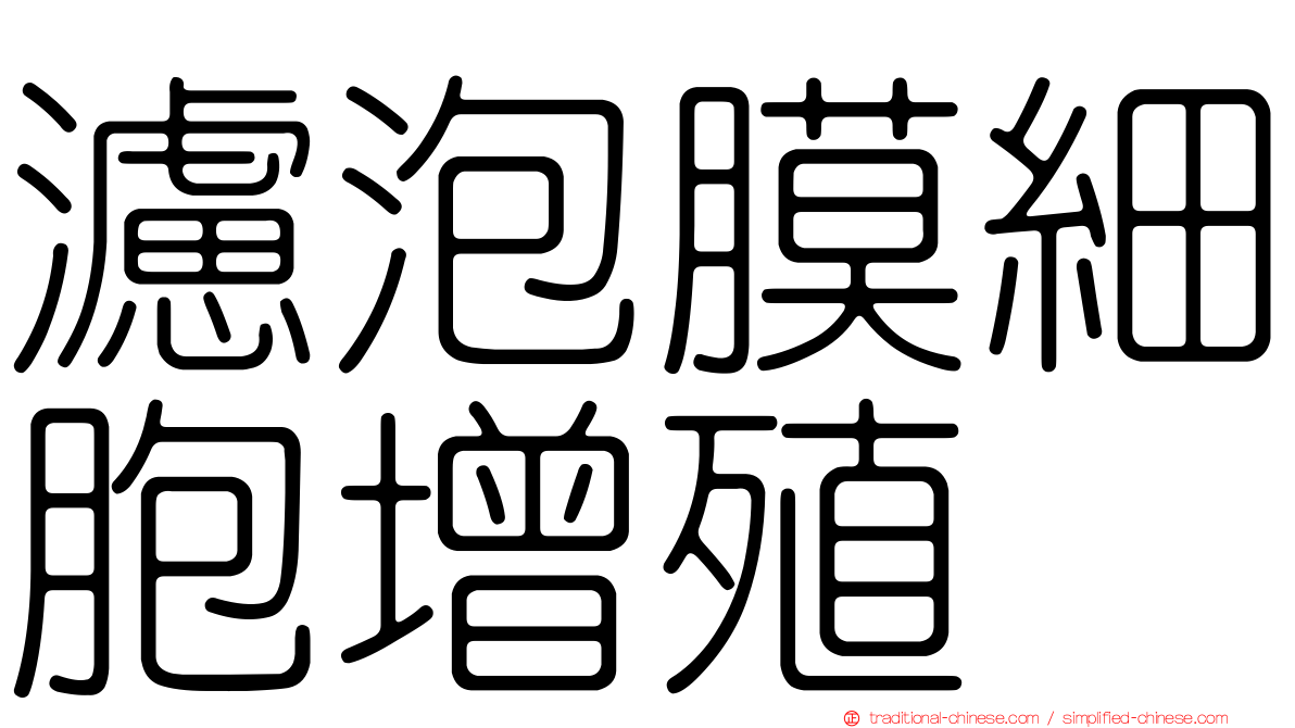 濾泡膜細胞增殖