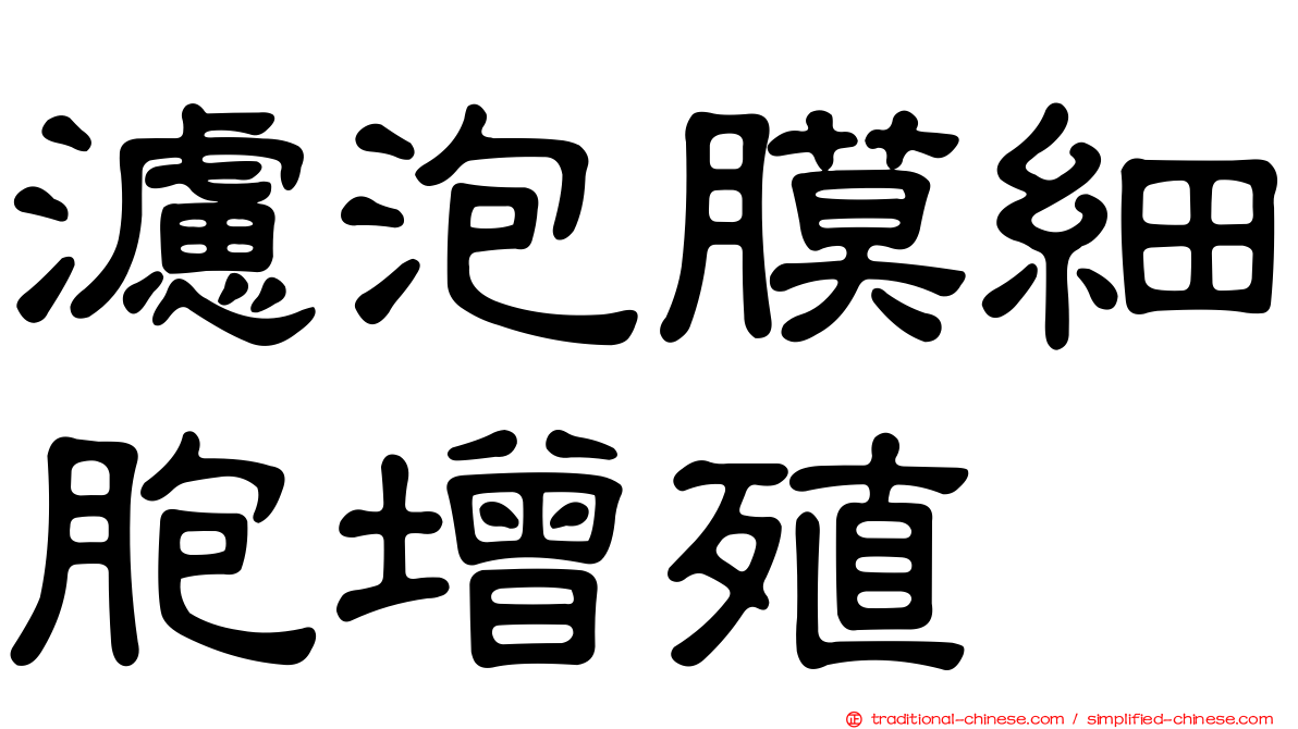 濾泡膜細胞增殖