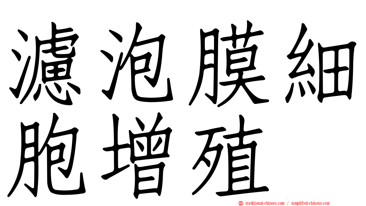 濾泡膜細胞增殖