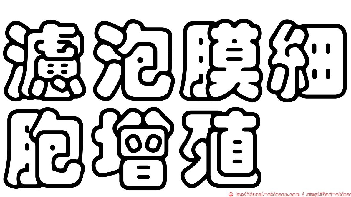 濾泡膜細胞增殖