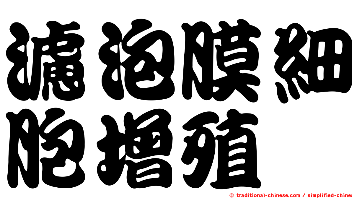 濾泡膜細胞增殖