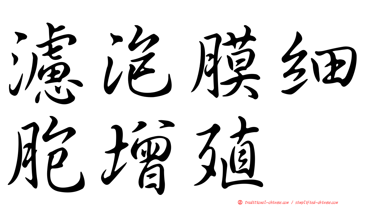 濾泡膜細胞增殖