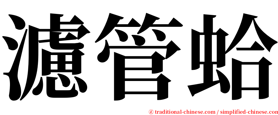 濾管蛤 serif font