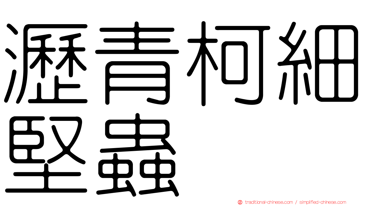 瀝青柯細堅蟲
