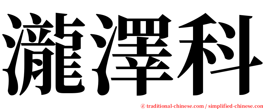 瀧澤科 serif font