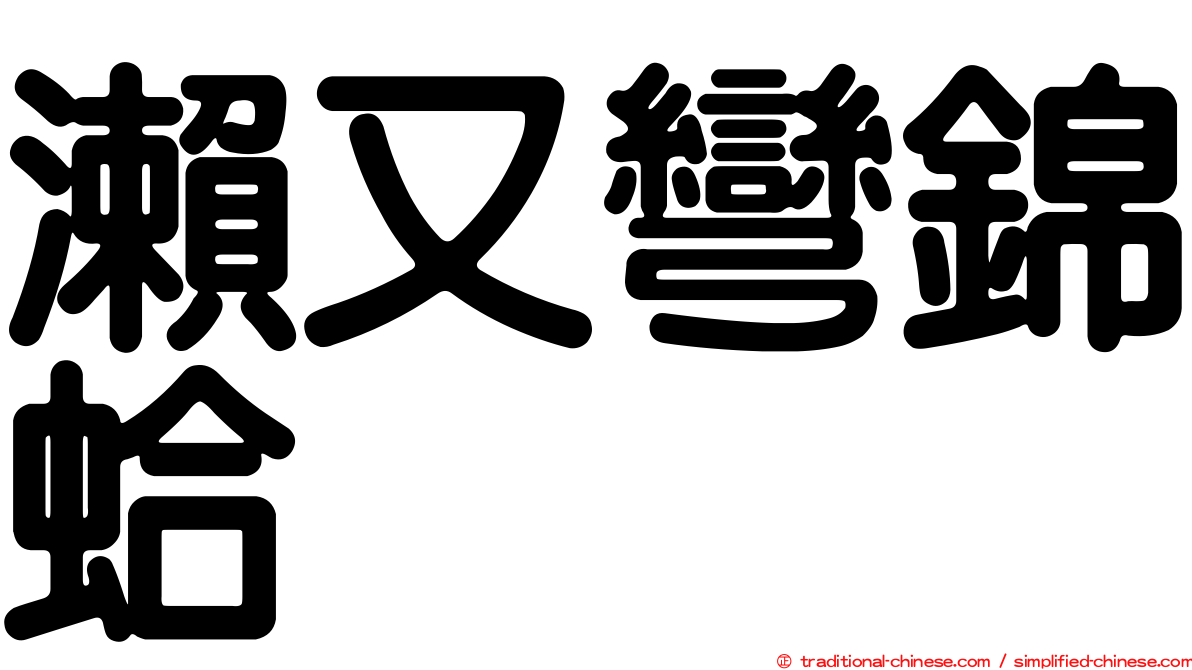 瀨又彎錦蛤
