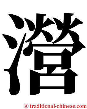 瀯 serif font