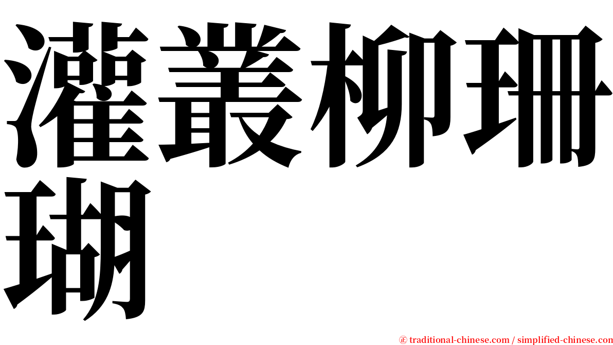 灌叢柳珊瑚 serif font