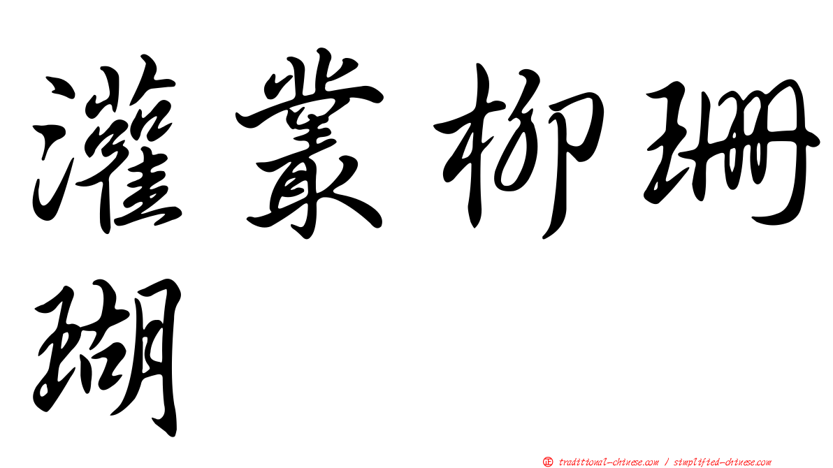 灌叢柳珊瑚