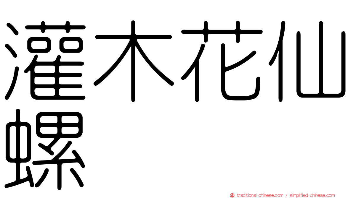 灌木花仙螺