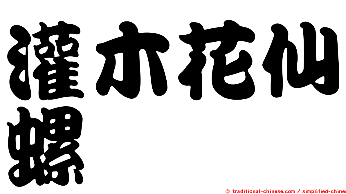 灌木花仙螺
