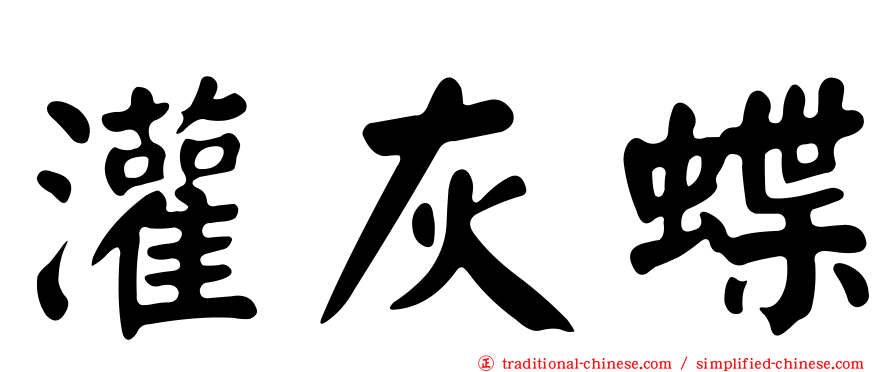 灌灰蝶