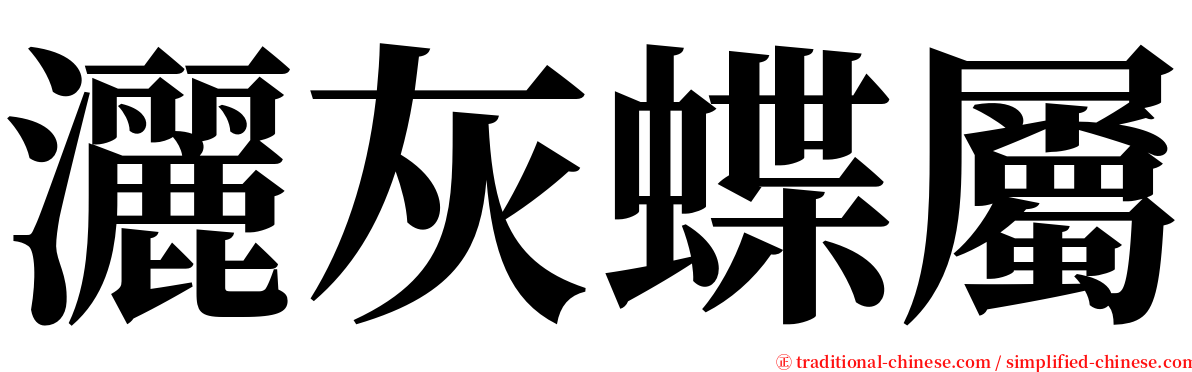 灑灰蝶屬 serif font