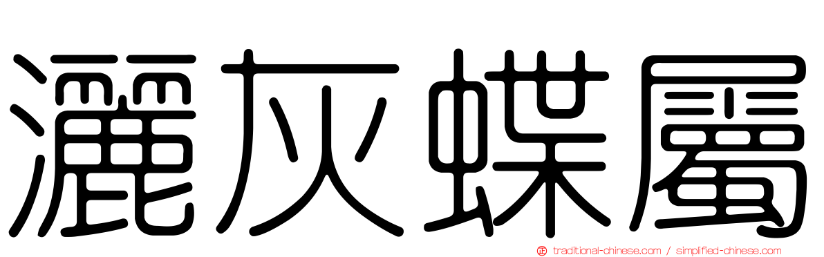 灑灰蝶屬
