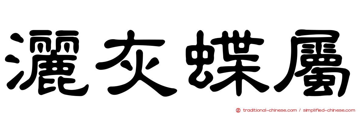 灑灰蝶屬